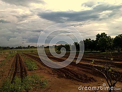 Plowed Land at the farm Stock Photo