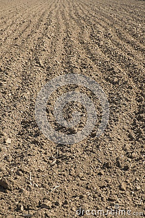 Plowed land Stock Photo