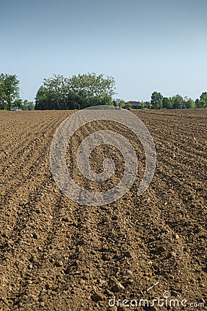 Plowed land Stock Photo