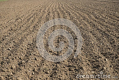 Plowed land Stock Photo