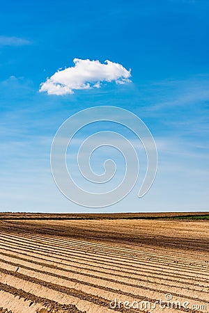 Plowed or Ploughed Fields in Countryside. Organic Food and Agriculture. Blue Sky over Horizon Stock Photo