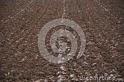 Plowed soil Stock Photo