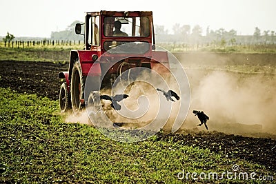 Plowing a Field Stock Photo