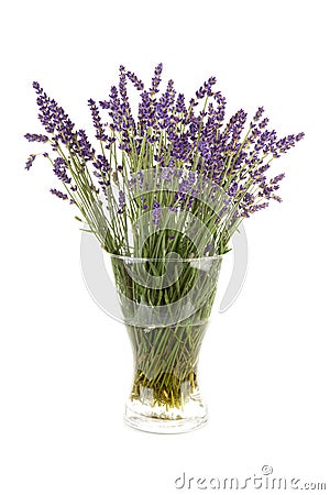 Plucked lavender in glass vase Stock Photo