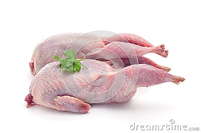 Plucked quails Stock Photo
