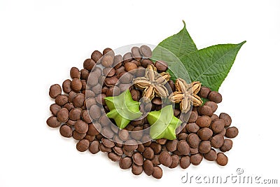 Plukenetia volubilis, sacha peanut, or sacha inchi (fresh, dried and seeds) on white background Stock Photo