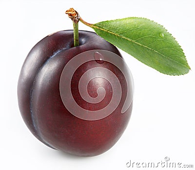 Plum Stock Photo