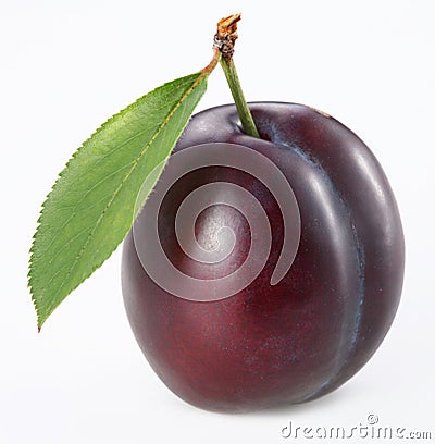 Plum Stock Photo