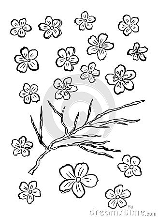 Plum blossom vecor collection.beautiful floral. Vector Illustration