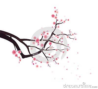 Plum blossoms on tree branch Vector Illustration