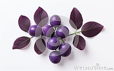 Plum Leaf from Above on a White Background -Generative Ai Stock Photo