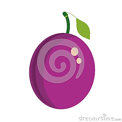Plum purple healthy ripe summer plant. Green tasty diet vector icon. Fruit food illustration organic berry Vector Illustration
