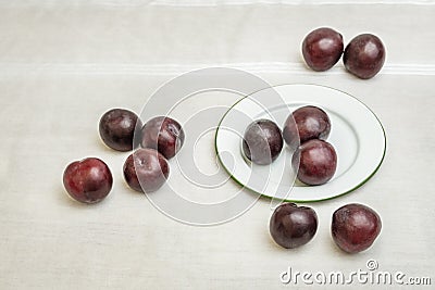 Prunes also contain relatively low amounts of fructose Stock Photo