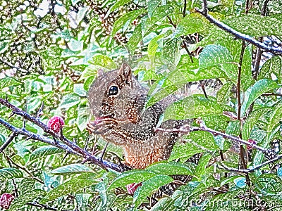 Plum Theif Cute Squirrel Eating Plums Digital Art Stock Photo