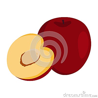 Plum vector.Fresh plum illustration Vector Illustration