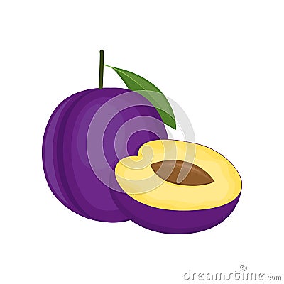 Plum, whole fruit and cut half, on white background. Vector illustration Vector Illustration