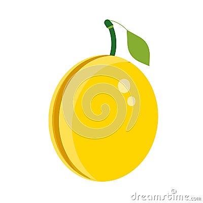 Plum yellow healthy ripe summer plant. Green tasty diet vector icon. Fruit food illustration organic berry Vector Illustration