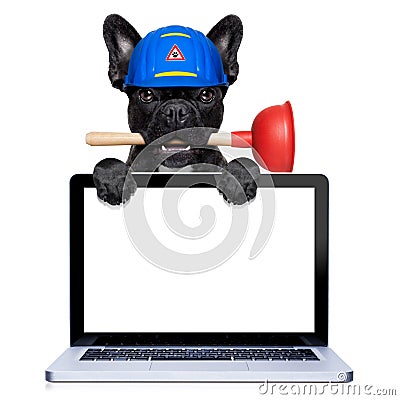 Plumber dog with plunger Stock Photo