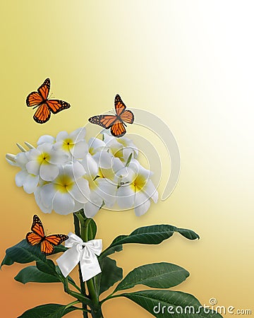 Plumeria flowers and butterflies Cartoon Illustration