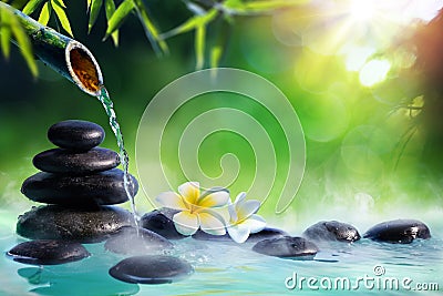 Plumeria Flowers In Japanese Fountain With Massage Stones And Bamboo Stock Photo