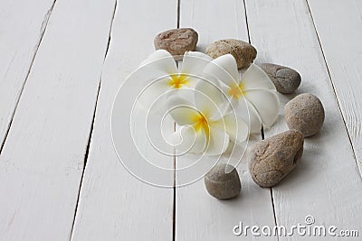 Plumeria sandstone is placed on a white wooden floor Stock Photo