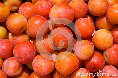 Plums 3 Stock Photo