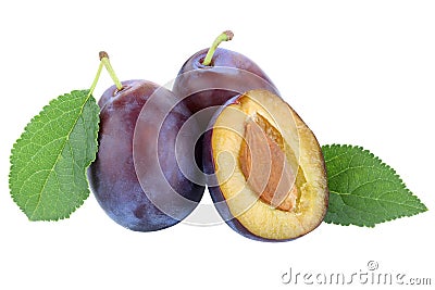 Plums plum prunes prune fresh fruits fruit autumn fall isolated on white Stock Photo