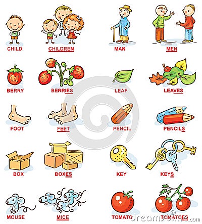 Plural of nouns in colorful cartoon pictures, can be used as a teaching aid for foreign language learning Vector Illustration