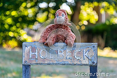 Plush gorilla toy on Holbeck street sign, Bracknell, Berkshire Stock Photo