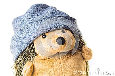 Plush hedgehog in a hat. soft toy Stock Photo