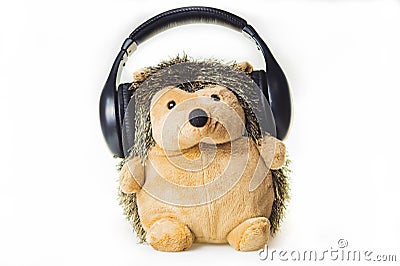 Plush hedgehog in the headphones. soft toy on a white background Stock Photo