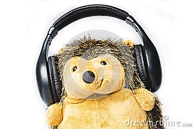 Plush hedgehog in the headphones. soft toy on a white background Stock Photo