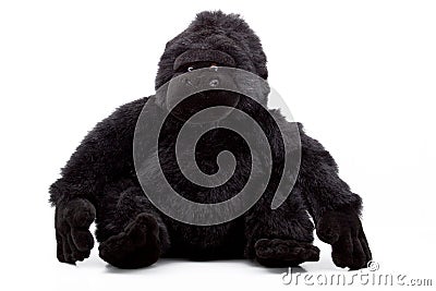 A plush monkey Stock Photo