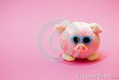 Plush smart toy pink pig with sun glasses on pink background. Copy space. Concept of Chinese New 2019 year, childhood, happiness, Stock Photo