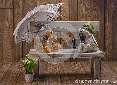 Plush Teddy bears photographer Stock Photo