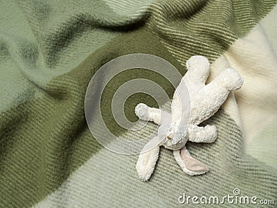 Plush toy bunny on green woollen blanket Stock Photo