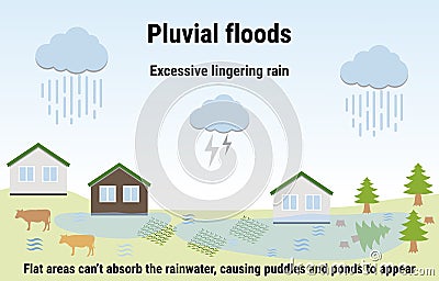 Pluvial floods. Flooding infographic. Flood natural disaster with rainstorm, weather hazard. Houses, trees, garden covered with Vector Illustration