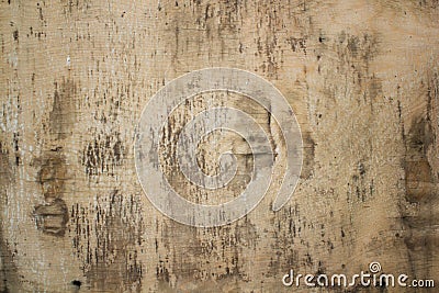Plywood surface texture background. Stock Photo