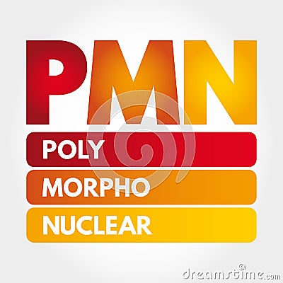 PMN - PolyMorphoNuclear acronym concept Stock Photo