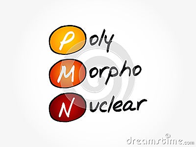 PMN - PolyMorphoNuclear acronym, concept background Stock Photo