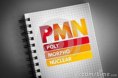 PMN - PolyMorphoNuclear acronym on notepad, concept background Stock Photo