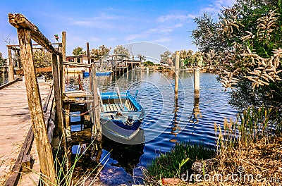 PO River Nature Reserve - Italy Stock Photo