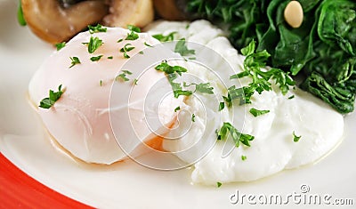 Poached Egg Breakfast Stock Photo