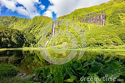 Poco da Ribeira do Ferreiro, Flores, Azores Islands. Waterfalls and landscape Stock Photo