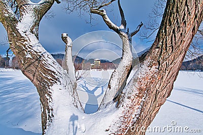 Pocuvadlo lake durig winter Stock Photo