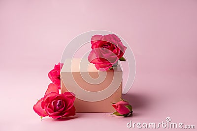 Podium for product photo background with roses. geometric objects and flowers. Stock Photo