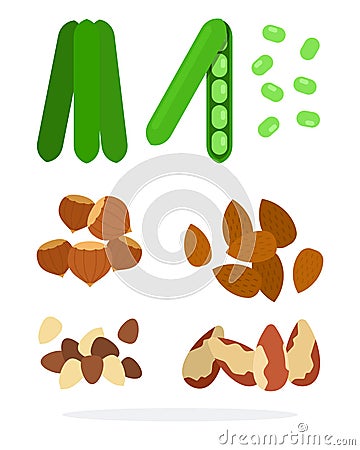 Pods peas, almonds, hazelnuts, Brazil nuts, macadamia nut Vector Illustration