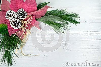 Poinsettia bouquet on whitewashed wood Stock Photo