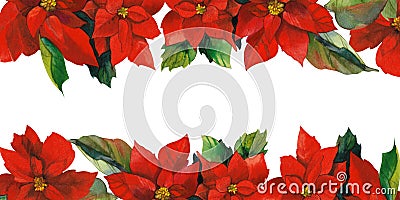 Poinsettia Christmas star hand drawn in watercolor isolated on white background Stock Photo
