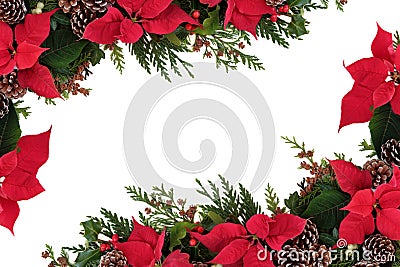 Poinsettia Floral Border Stock Photo